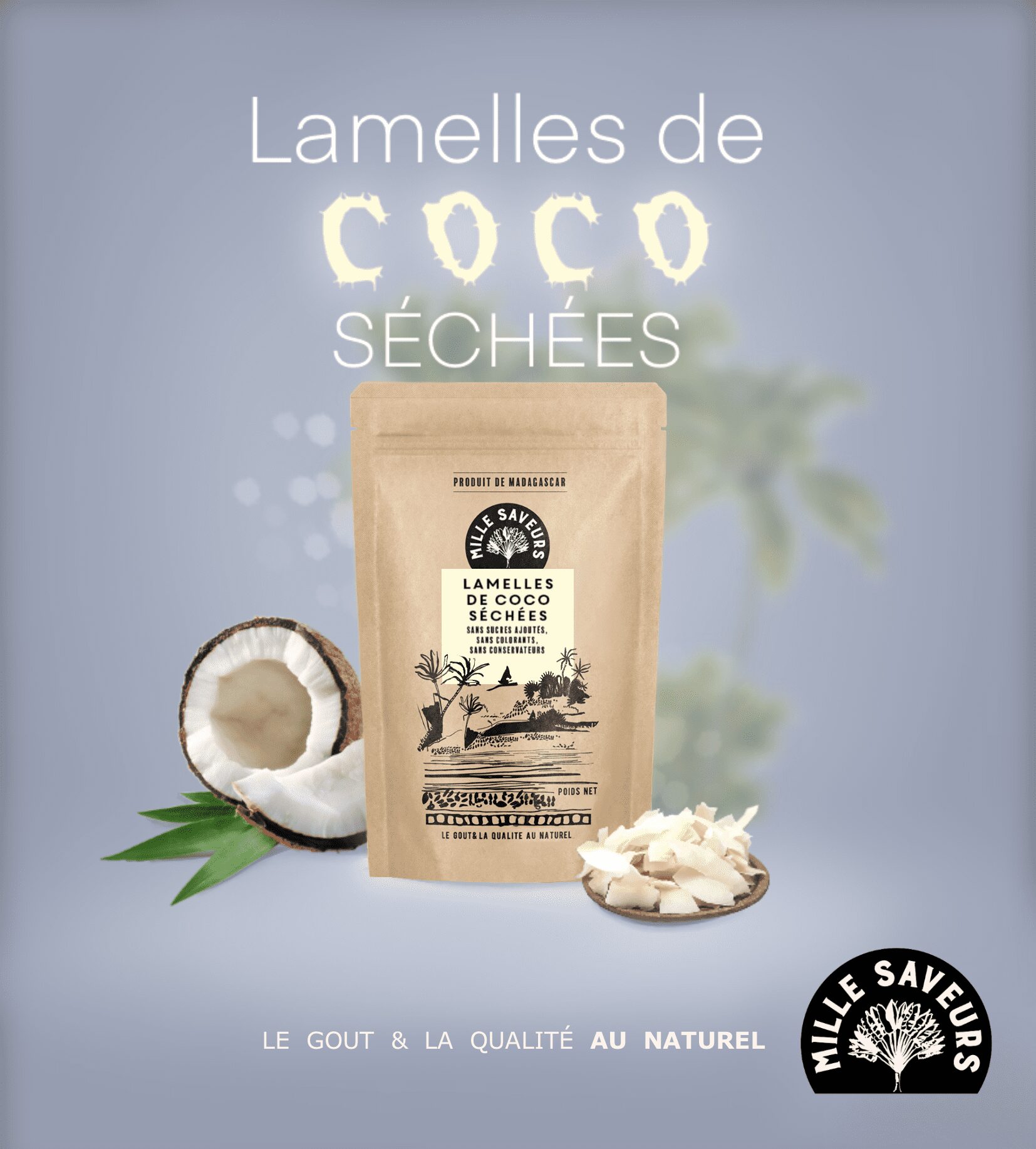 Lamelles de coco séchées