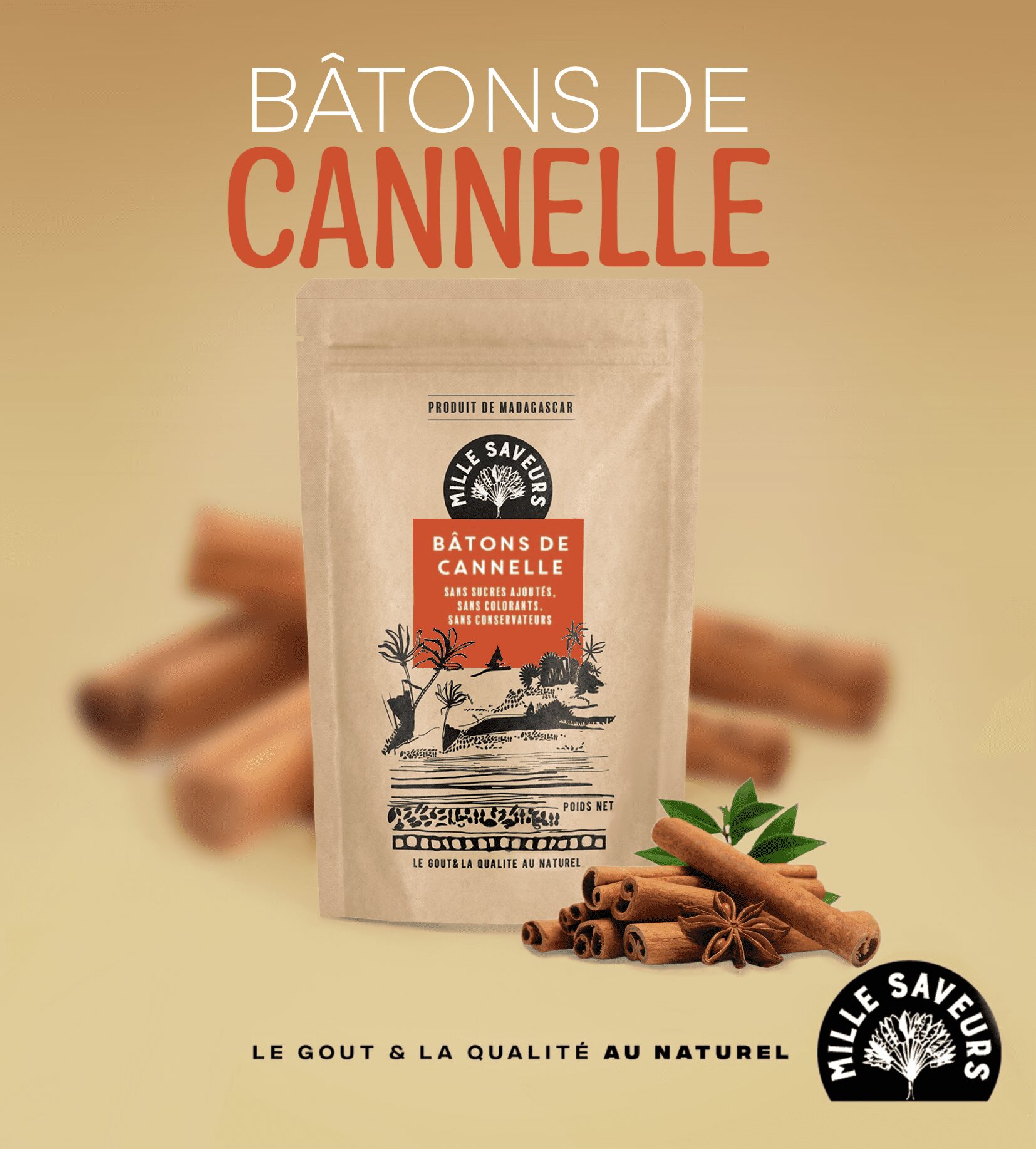 Bâton de cannelle