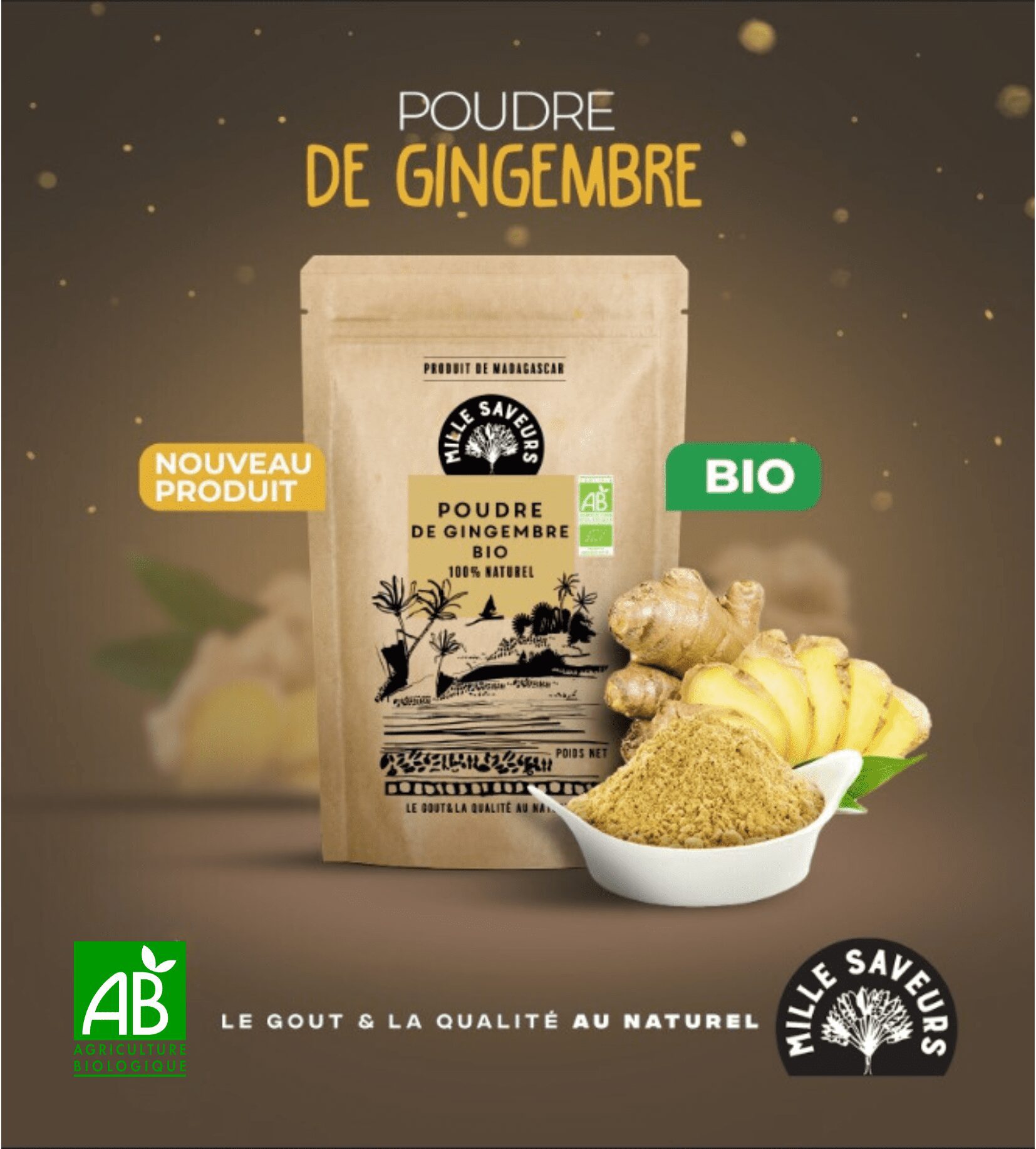 Poudre de Gingembre BIO - 50g